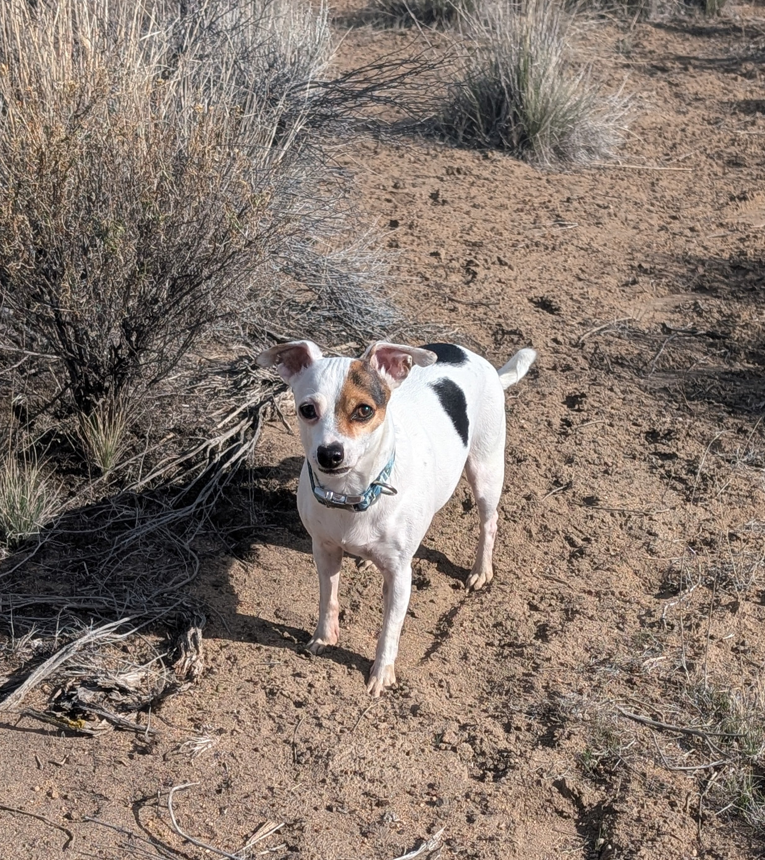 What's New @ The Commune